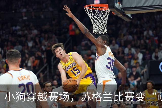 小狗穿越赛场，苏格兰比赛变“萌宠秀”！