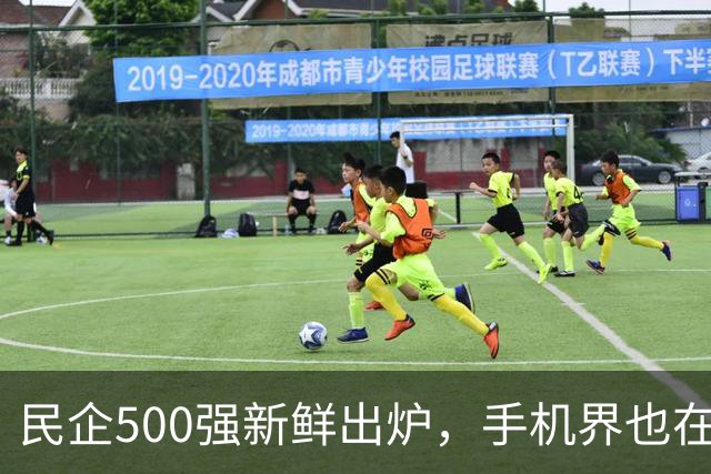 民企500强新鲜出炉，手机界也在忙着开Party！