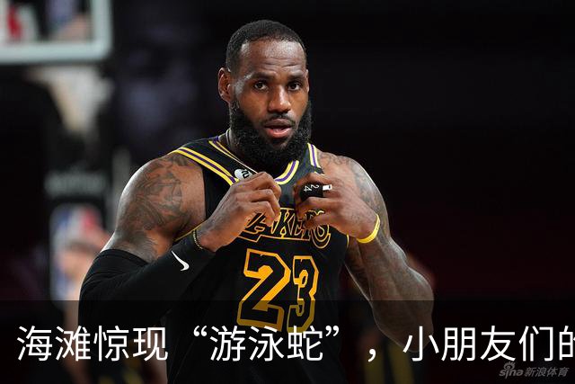 海滩惊现“游泳蛇”，小朋友们的沙滩乐园变身惊悚片！